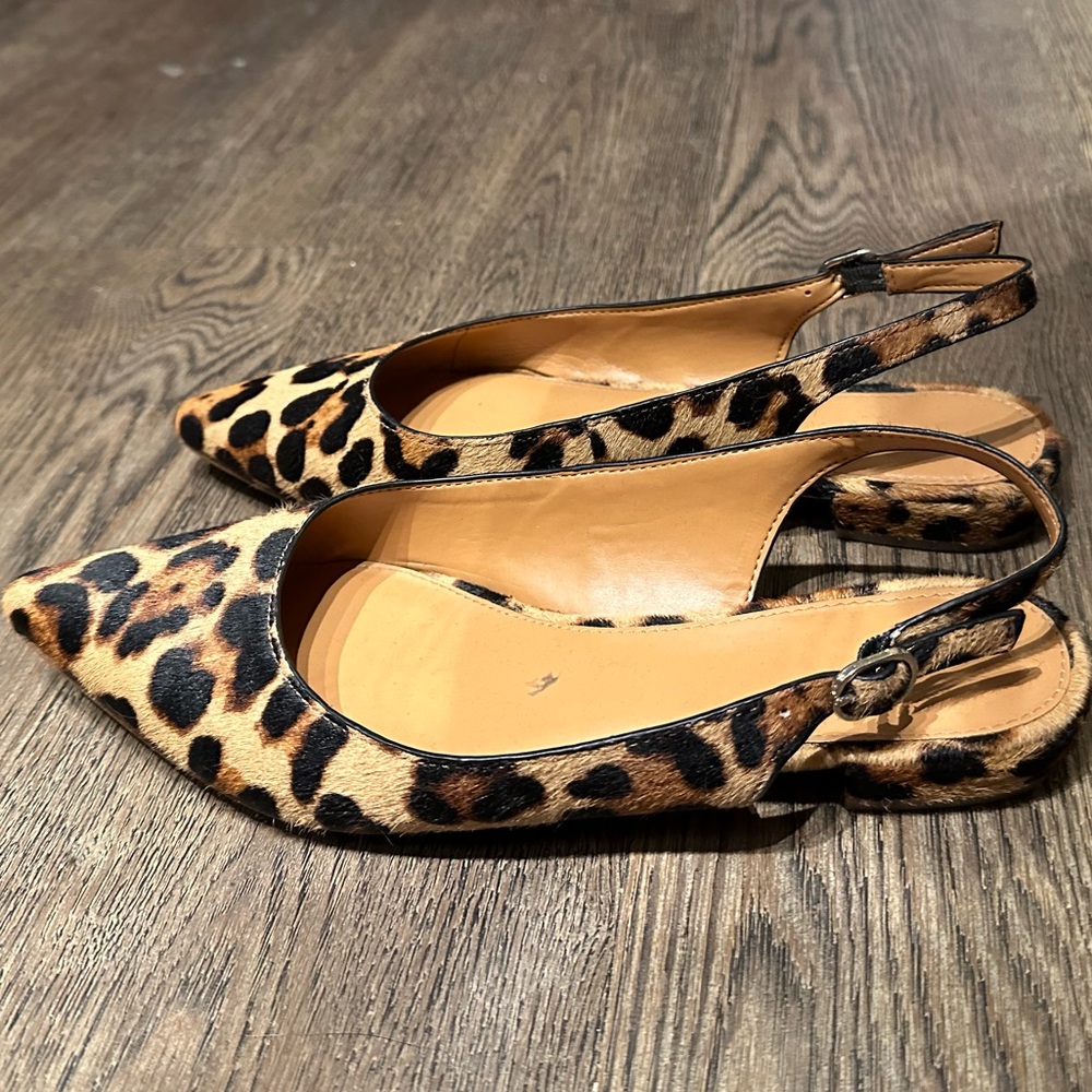 J. Crew Calf Hair Leopard Print Pointed Toe Sling Back Flats